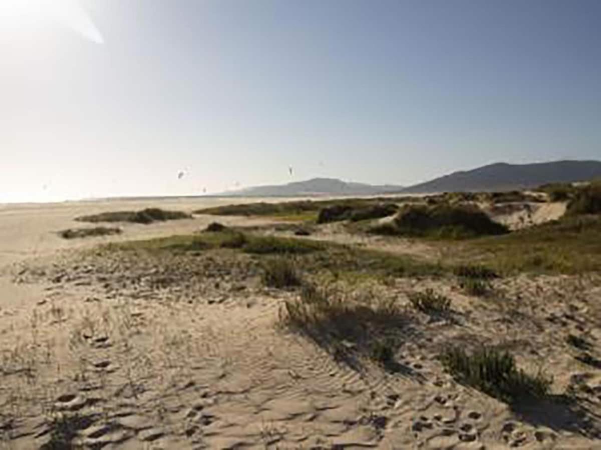 Lightbooking Los Silos Apartment Tarifa